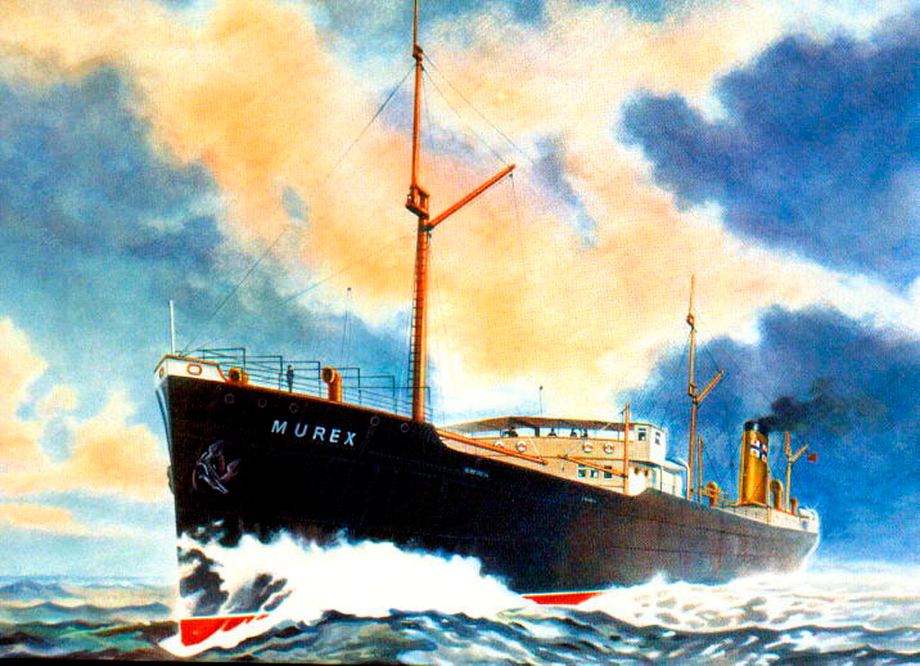 murex (1)